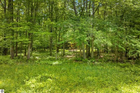 Tiny photo for 2176 W Schuss Mountain Drive, Bellaire, MI 49615 (MLS # 1947515)