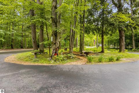 Tiny photo for 2176 W Schuss Mountain Drive, Bellaire, MI 49615 (MLS # 1947515)