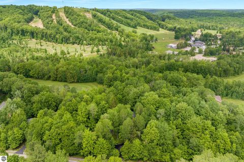 Tiny photo for 2176 W Schuss Mountain Drive, Bellaire, MI 49615 (MLS # 1947515)