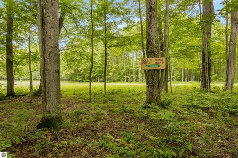 Tiny photo for 2176 W Schuss Mountain Drive, Bellaire, MI 49615 (MLS # 1947515)