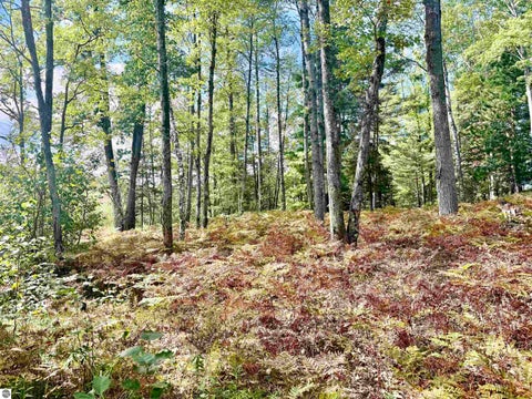 Tiny photo for 7224 E Stoney Corners Road, Falmouth, MI 49632 (MLS # 1950914)
