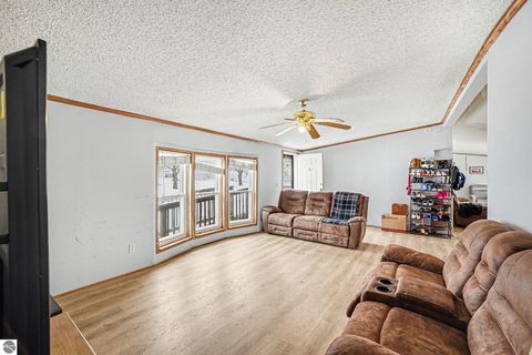 Tiny photo for 147 E Elm Street, Elsie, MI 48831 (MLS # 1942114)