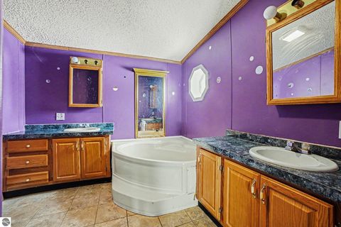 Tiny photo for 147 E Elm Street, Elsie, MI 48831 (MLS # 1942114)