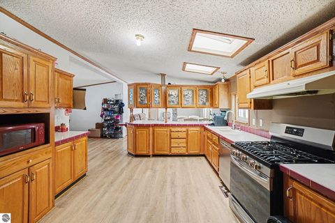 Tiny photo for 147 E Elm Street, Elsie, MI 48831 (MLS # 1942114)