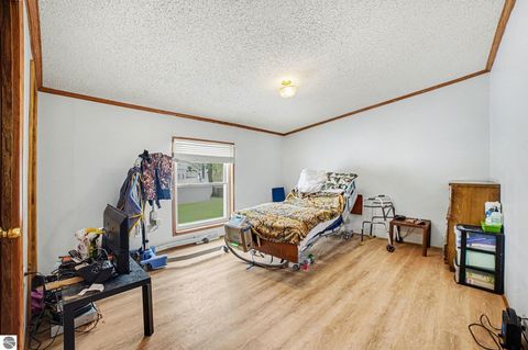 Tiny photo for 147 E Elm Street, Elsie, MI 48831 (MLS # 1942114)