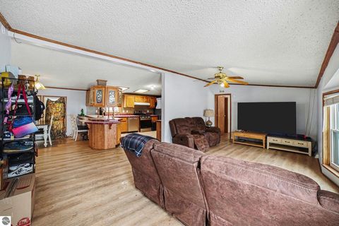 Tiny photo for 147 E Elm Street, Elsie, MI 48831 (MLS # 1942114)