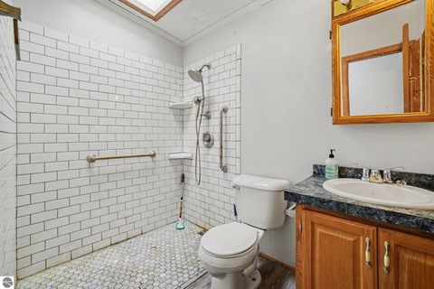 Tiny photo for 147 E Elm Street, Elsie, MI 48831 (MLS # 1942114)