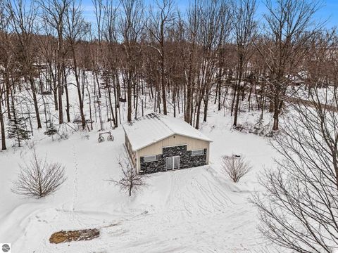 Tiny photo for 8923 SE Torch Lake Drive, Alden, MI 49612 (MLS # 1942468)