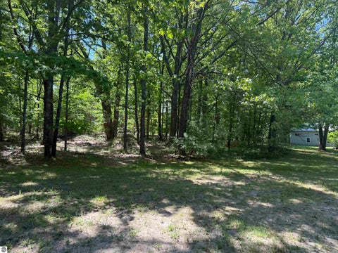 Tiny photo for 8923 SE Torch Lake Drive, Alden, MI 49612 (MLS # 1942468)