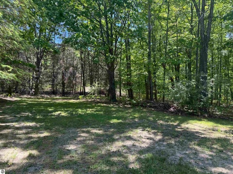 Tiny photo for 8923 SE Torch Lake Drive, Alden, MI 49612 (MLS # 1942468)