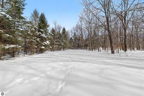 Tiny photo for 8923 SE Torch Lake Drive, Alden, MI 49612 (MLS # 1942468)
