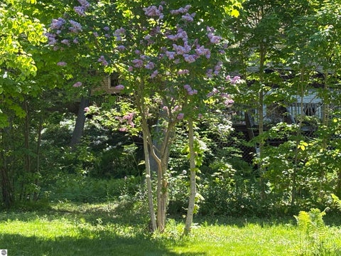 Tiny photo for 5962 S Lake Leelanau Drive, Traverse City, MI 49684 (MLS # 1946219)
