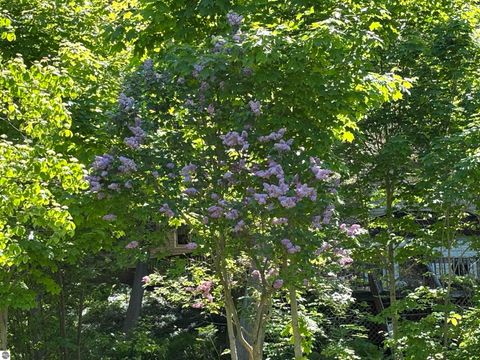 Tiny photo for 5962 S Lake Leelanau Drive, Traverse City, MI 49684 (MLS # 1946219)