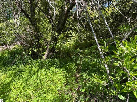 Tiny photo for 5962 S Lake Leelanau Drive, Traverse City, MI 49684 (MLS # 1946219)