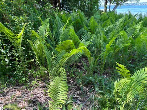 Tiny photo for 5962 S Lake Leelanau Drive, Traverse City, MI 49684 (MLS # 1946219)