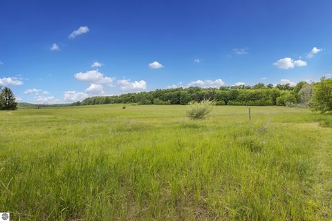 Tiny photo for 3362 S French Road, Cedar, MI 49621 (MLS # 1943616)