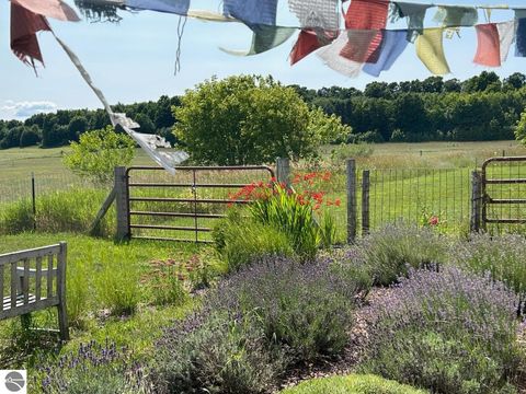 Tiny photo for 3362 S French Road, Cedar, MI 49621 (MLS # 1943616)