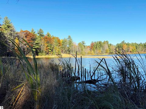 Tiny photo for 6320 Woodland Drive NE, Kalkaska, MI 49646 (MLS # 1940143)