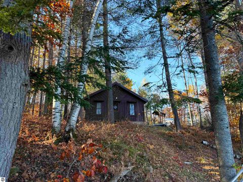 Tiny photo for 6320 Woodland Drive NE, Kalkaska, MI 49646 (MLS # 1940143)