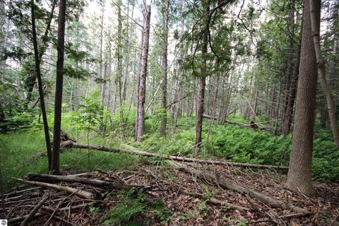 Tiny photo for 2624 Hartman Road, Traverse City, MI 49685 (MLS # 1941896)