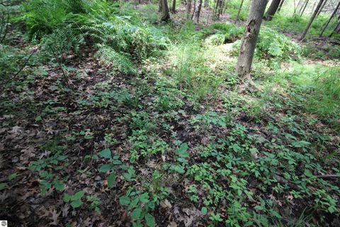 Tiny photo for 2624 Hartman Road, Traverse City, MI 49685 (MLS # 1941896)