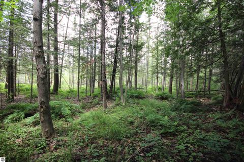Tiny photo for 2624 Hartman Road, Traverse City, MI 49685 (MLS # 1941896)