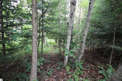 Tiny photo for 2624 Hartman Road, Traverse City, MI 49685 (MLS # 1941896)