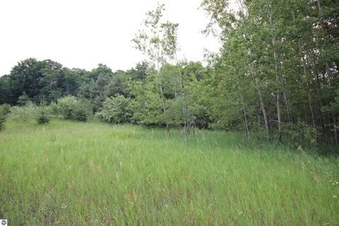 Tiny photo for 2624 Hartman Road, Traverse City, MI 49685 (MLS # 1941896)