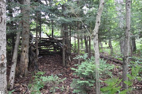 Tiny photo for 2624 Hartman Road, Traverse City, MI 49685 (MLS # 1941896)