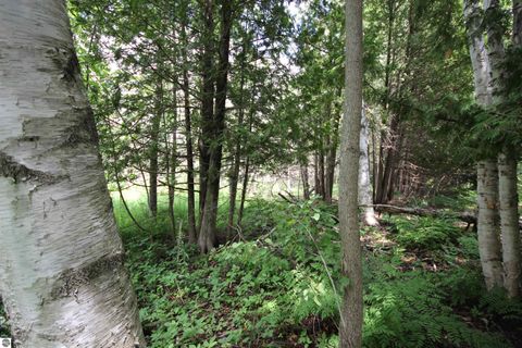 Tiny photo for 2624 Hartman Road, Traverse City, MI 49685 (MLS # 1941896)