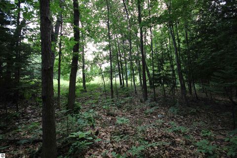 Tiny photo for 2624 Hartman Road, Traverse City, MI 49685 (MLS # 1941896)