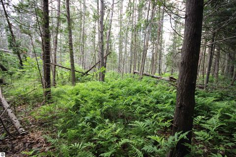 Tiny photo for 2624 Hartman Road, Traverse City, MI 49685 (MLS # 1941896)