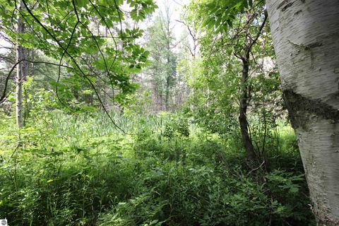 Tiny photo for 2624 Hartman Road, Traverse City, MI 49685 (MLS # 1941896)
