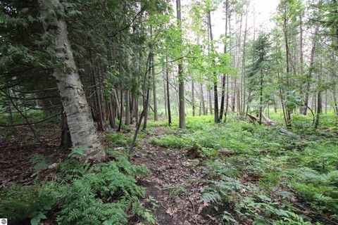 Tiny photo for 2624 Hartman Road, Traverse City, MI 49685 (MLS # 1941896)