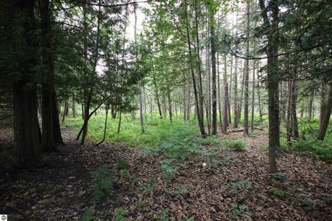 Tiny photo for 2624 Hartman Road, Traverse City, MI 49685 (MLS # 1941896)