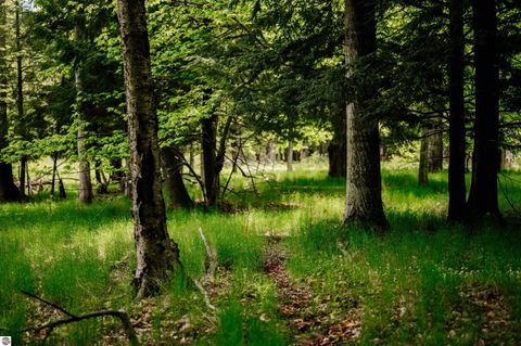 Tiny photo for 429 S Shabwasung Street, Northport, MI 49670 (MLS # 1940688)