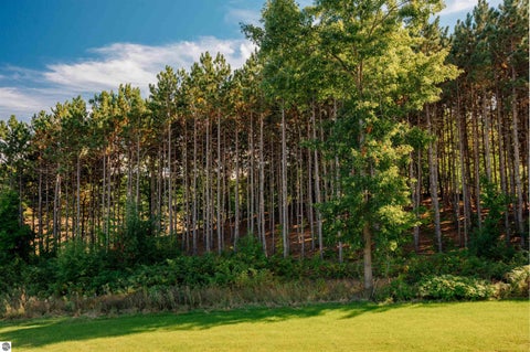 Tiny photo for 850 Coyote Lane, Traverse City, MI 49696 (MLS # 1950915)