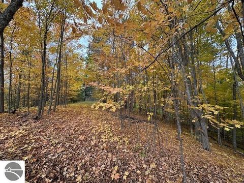 Tiny photo for 3285 E Torch Lake Drive, Bellaire, MI 49615 (MLS # 1944253)