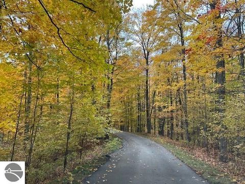 Tiny photo for 3285 E Torch Lake Drive, Bellaire, MI 49615 (MLS # 1944253)