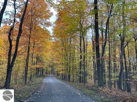 Tiny photo for 3285 E Torch Lake Drive, Bellaire, MI 49615 (MLS # 1944253)
