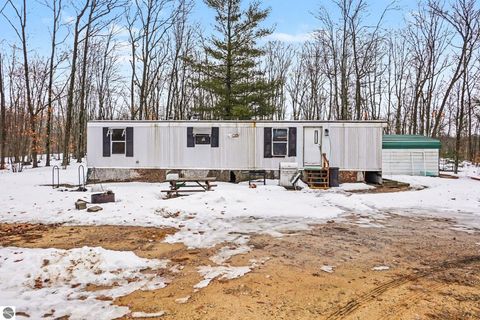 Tiny photo for 9047 E Oakwood Trail, Reed City, MI 49677 (MLS # 1942383)
