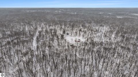 Tiny photo for 9047 E Oakwood Trail, Reed City, MI 49677 (MLS # 1942383)