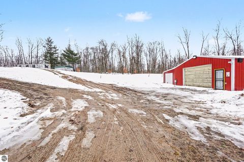 Tiny photo for 9047 E Oakwood Trail, Reed City, MI 49677 (MLS # 1942383)