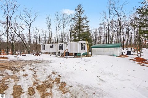 Tiny photo for 9047 E Oakwood Trail, Reed City, MI 49677 (MLS # 1942383)