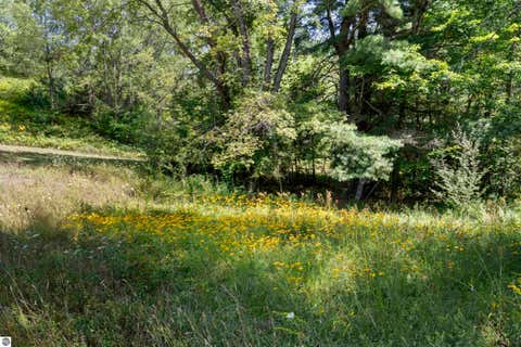 Tiny photo for 13229 Yates Road, Copemish, MI 49625 (MLS # 1949390)