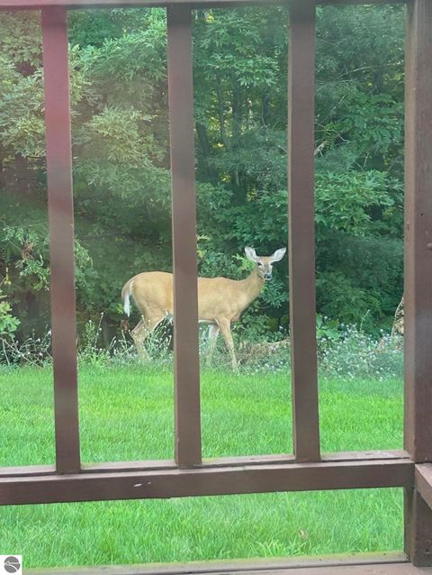 Tiny photo for 10027 E Grandview Court, Traverse City, MI 49684 (MLS # 1942579)