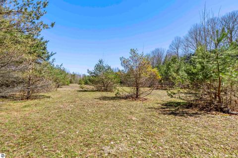 Tiny photo for 3470 Autumn Mist Lane, Thompsonville, MI 49683 (MLS # 1944194)