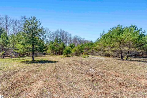 Tiny photo for 3470 Autumn Mist Lane, Thompsonville, MI 49683 (MLS # 1944194)