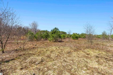 Tiny photo for 3470 Autumn Mist Lane, Thompsonville, MI 49683 (MLS # 1944194)