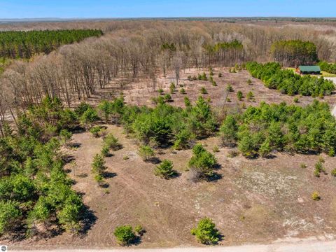 Tiny photo for 3470 Autumn Mist Lane, Thompsonville, MI 49683 (MLS # 1944194)